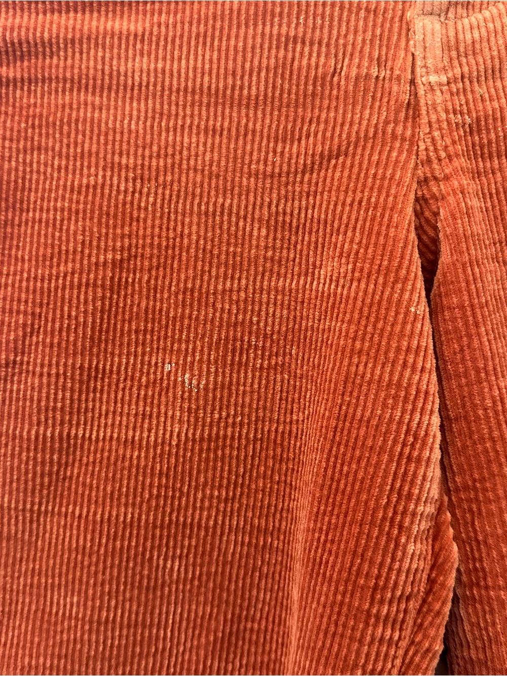 Madewell High-Rise Slim Emmett Wide-Leg Corduroy Pants in Rusty Terracotta - Picture 6 of 8